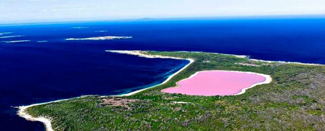Озеро Хиллиер: тайна розового озера в Австралии - Top7Travel