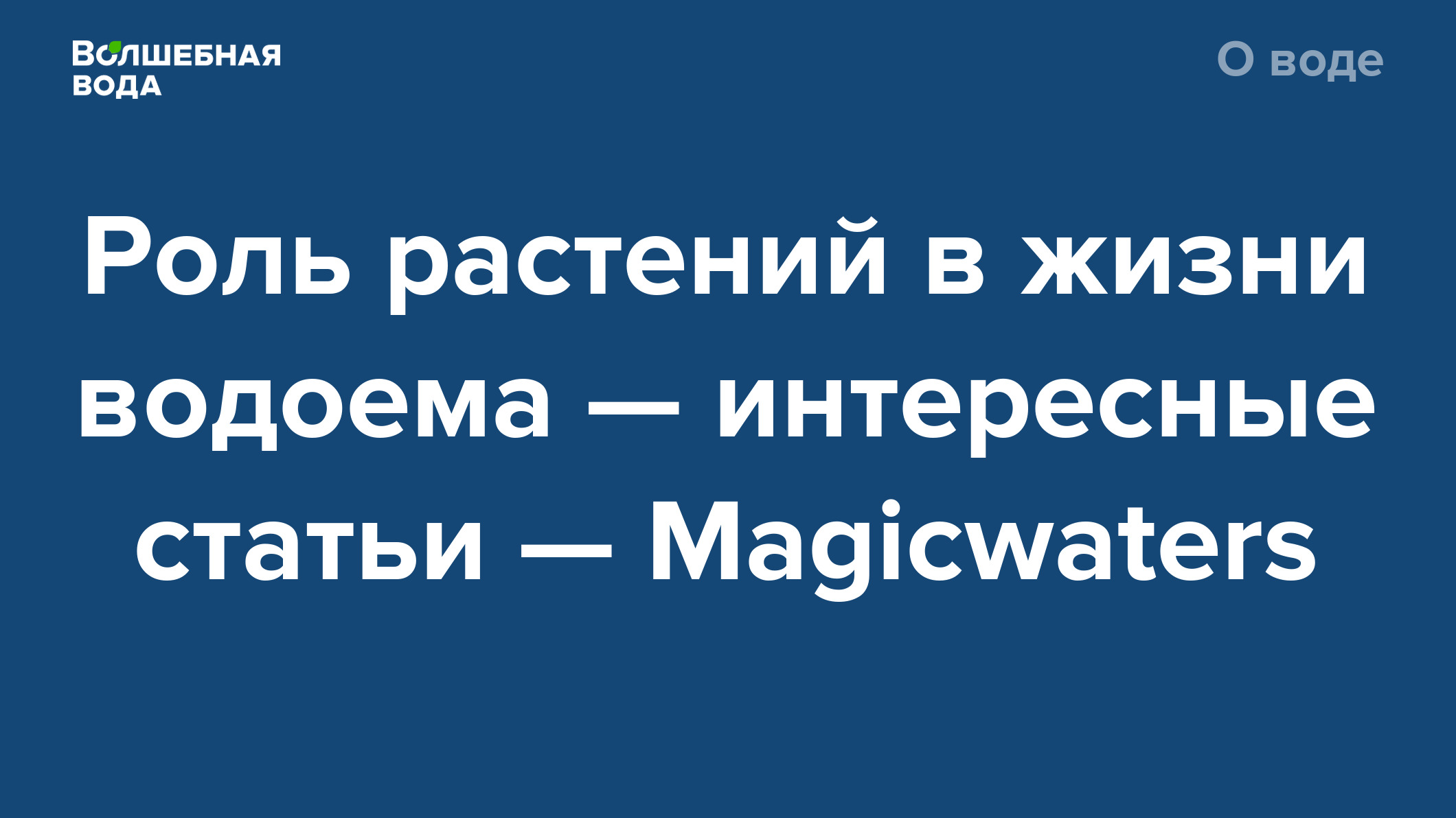 Роль растений в жизни водоема — интересные статьи — Magicwaters